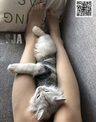告密者在线观看_未删减完整版