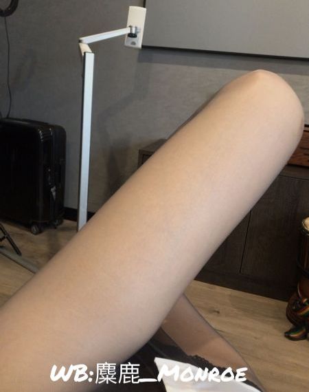 鸟笼客栈_BD免费视频大全